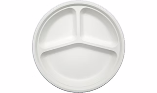 Biodegradable bagasse paper product