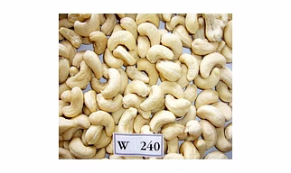 W240 Whole Cashew Nut