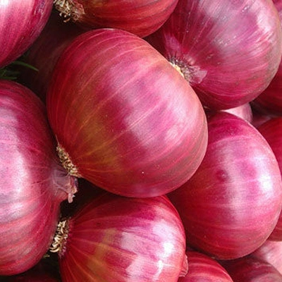 FRESH ONION-3