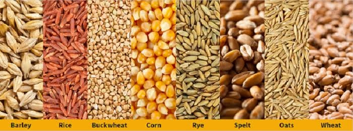 Indian Cereals - grains-12583402