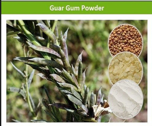 Guar Gum Powder-2