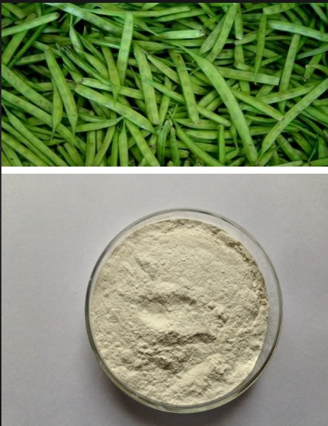 Guar Gum Powder-3