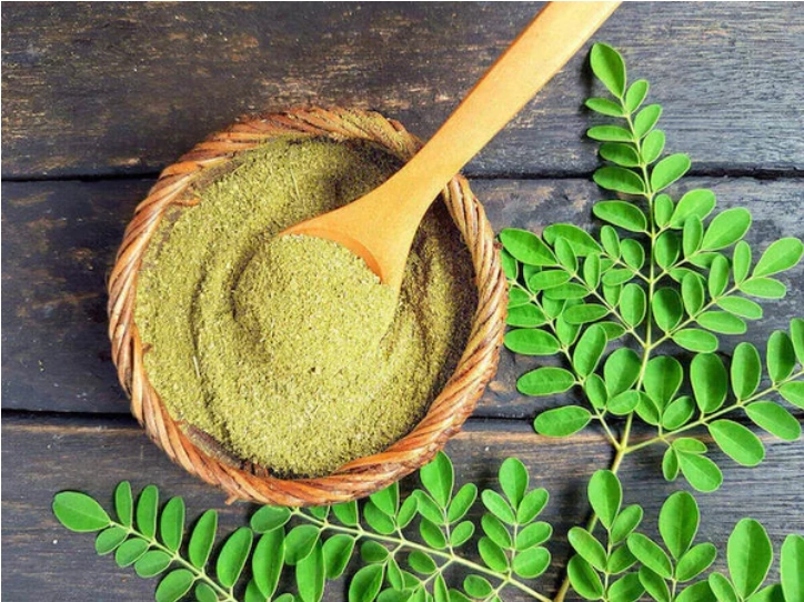 Moringa Powder-12638982