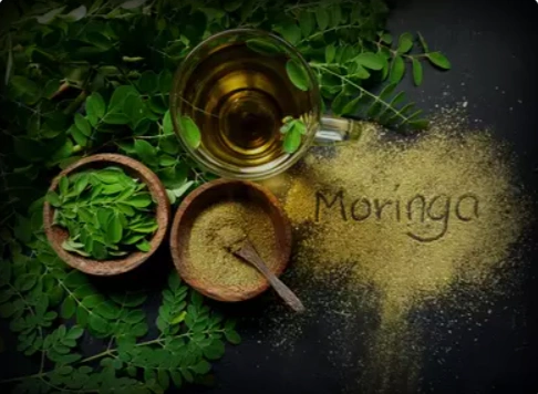 Moringa Powder-1