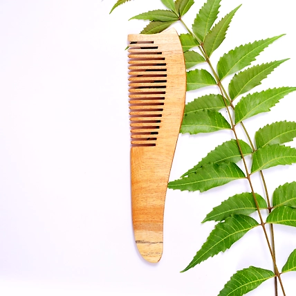 EASY BUY | Jaivik | Sankha | Neem Comb | Wooden Comb-1