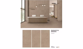 Ceramic Wall Tiles