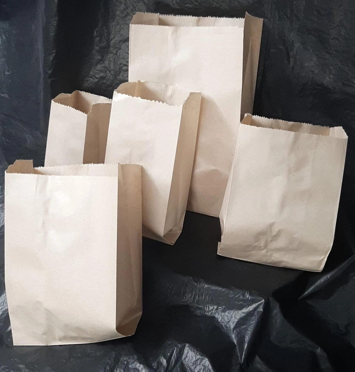 Paper bags-12523950