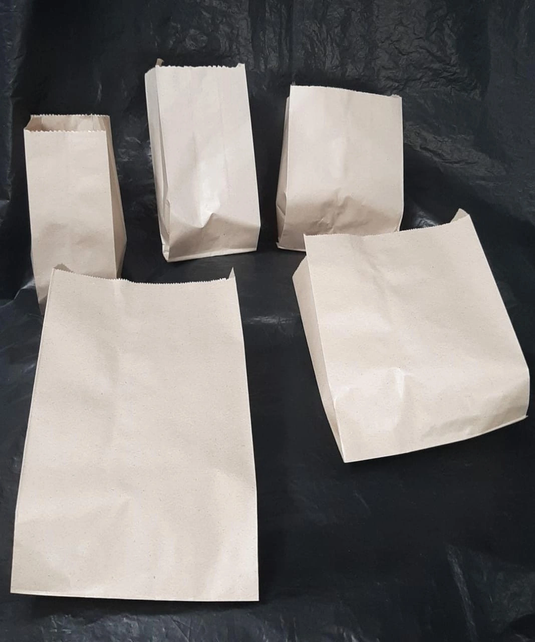 Paper bags-2