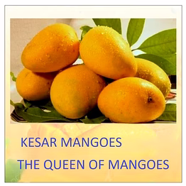 omkar fruits kesar mangoes