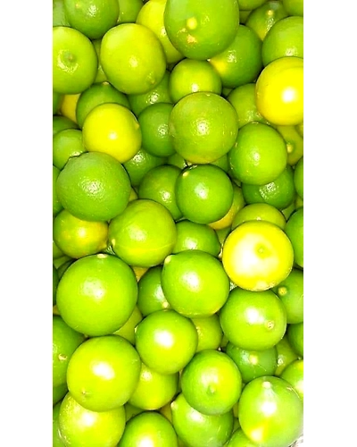Indian Lemon-2