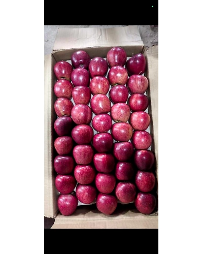 Kashmiri Apple-1