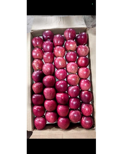 Kashmiri Apple-2