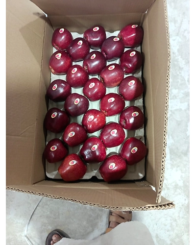 Kashmiri Apple-3