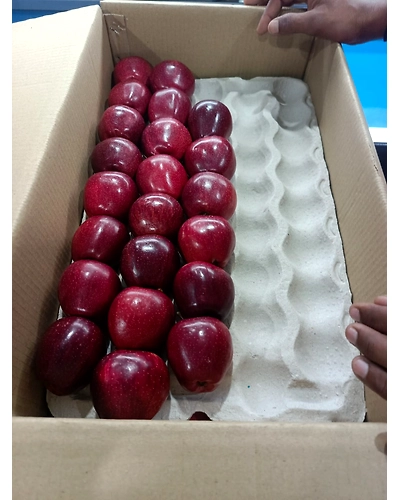 Kashmiri Apple-4
