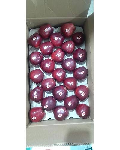 Kashmiri Apple-12635464