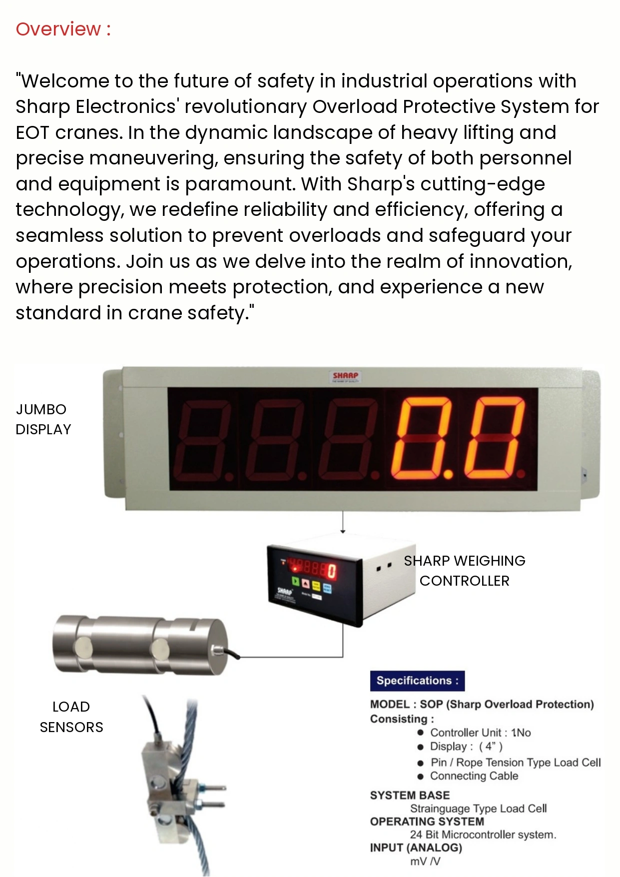 EOT Crane Overload System-1