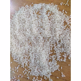 premium ir64 raw rice – high-quality long grain non-basmati rice for export & domestic supply