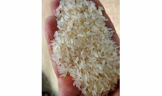 Premium IR64 Raw Rice – High-Quality Long Grain Non-Basmati Rice for Export & Domestic Supply