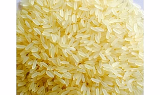 Premium IR64 Parboiled Rice – High-Quality Long Grain Non-Basmati Rice for Export & Domestic Supply