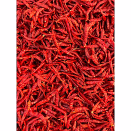 machine-cut teja whole dry chilli – premium grade, stemless, bright red, high pungency, export quality