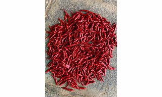 Teja Premium Whole Red Chilli – Stemless, High Pungency, Deep Red Colour, Export Grade Whole Chilli