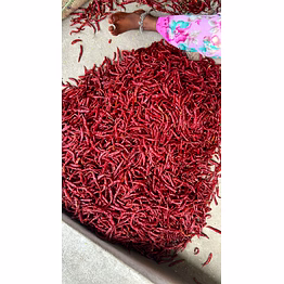 ennair exports and imports pvt. ltd teja premium whole red chilli – stemless, high pungency, deep red colour, export grade whole chilli