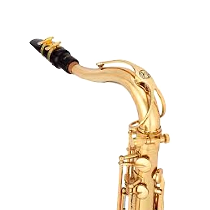 Jean-Paul TS860 Professional Tenor Saxophone USA-2