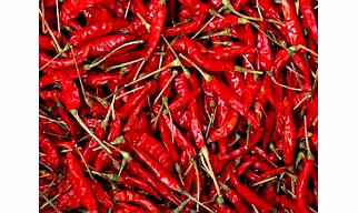 Red Chilli