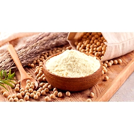 Soyabean Powder