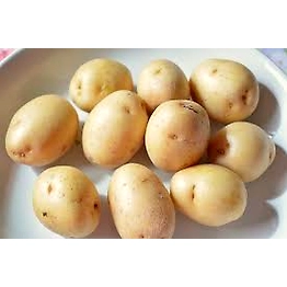 Revant Potato