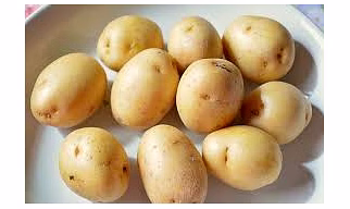 Potato