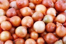 Onion-1