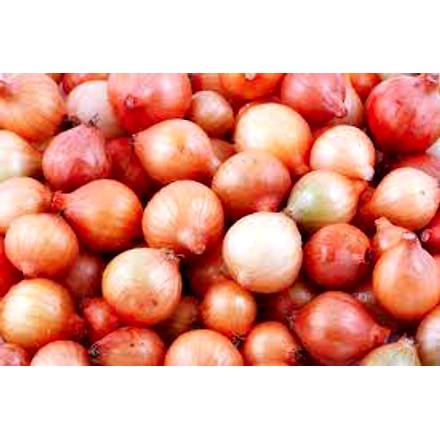 Onion-1