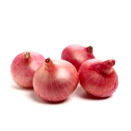 Onion-2