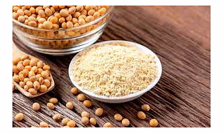 Soyabean Powder