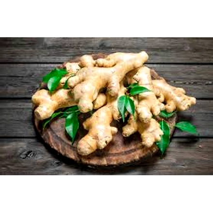 Ginger-7