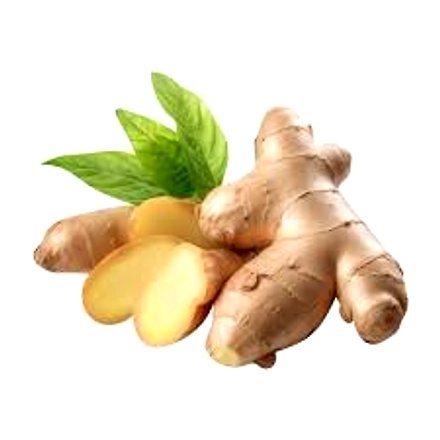 Ginger-5