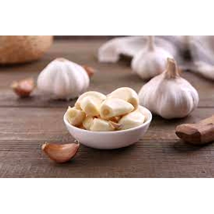 Garlic-7