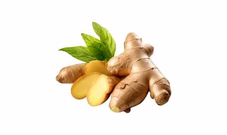 Ginger