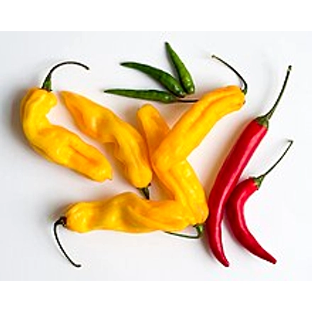 Green Chilli-4