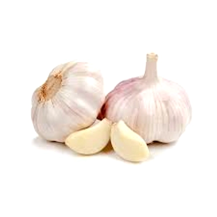 Garlic-2