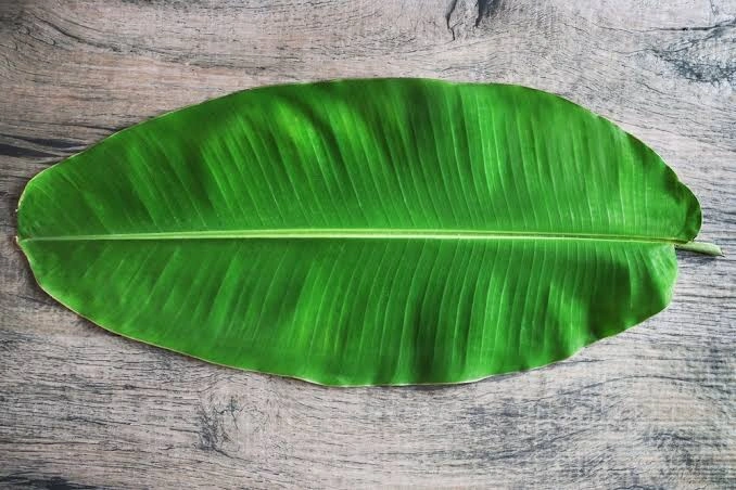 Banana Leaf-12525087