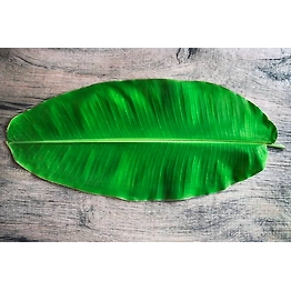 Banana Leaf