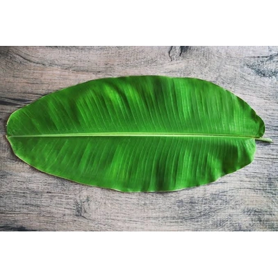 Banana Leaf