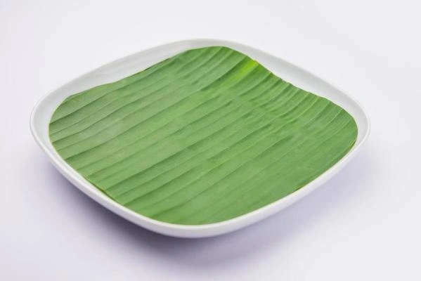 Banana Leaf-2