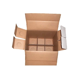 Integral Divider Container