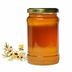Wild Forest Honey