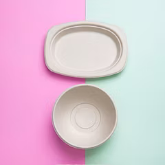 Bagasse Product