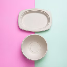 Bagasse Product