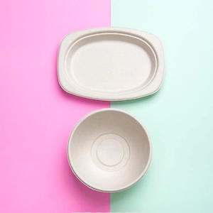 Bagasse Product